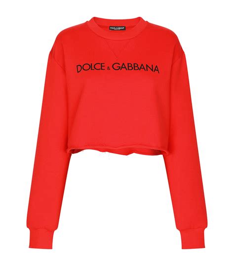 dolce & gabbana sweater women's|dolce website.